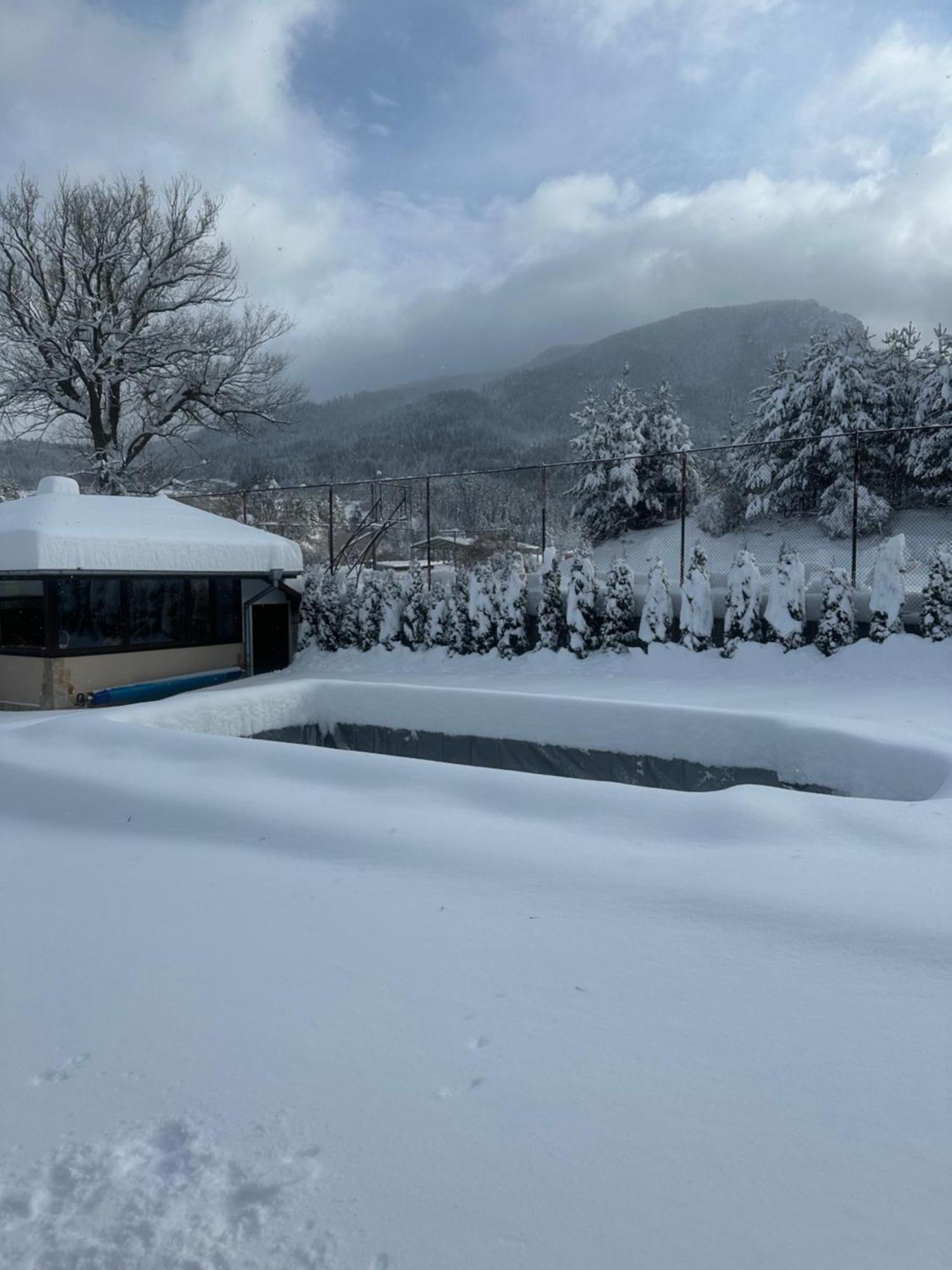 Villa Paradise Beli Iskar Exterior foto